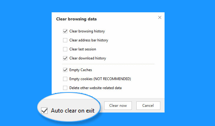 auto-clear-browsing-data-on-every-exit